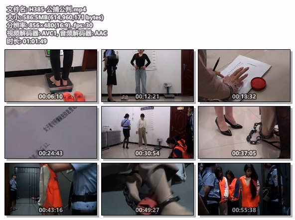 H385-公捕公判