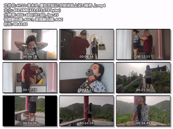 H722-夜未央_妻奴历险记 空姐体验上门TJ服务 上